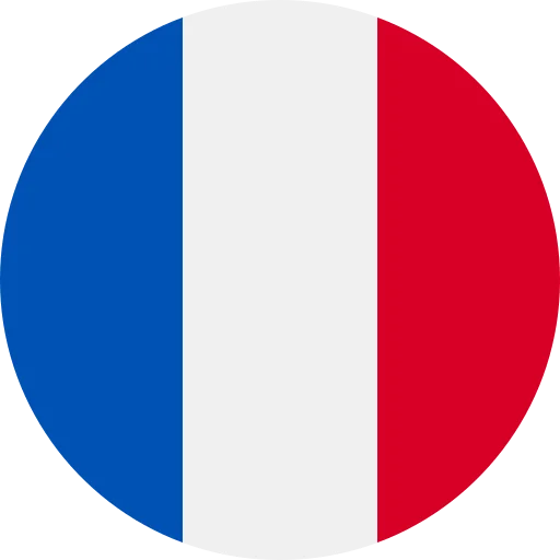 Language learner 3